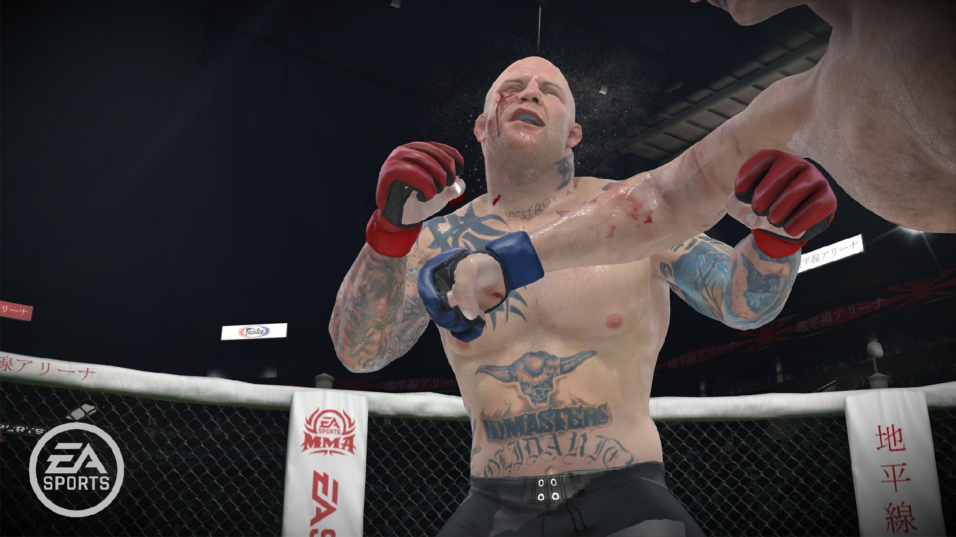 EA Sports MMA - Imagen 21
